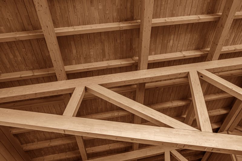 Floor Joist Repair