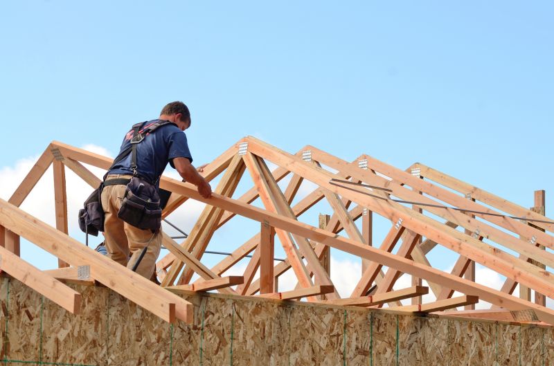 Roof Framing Repair