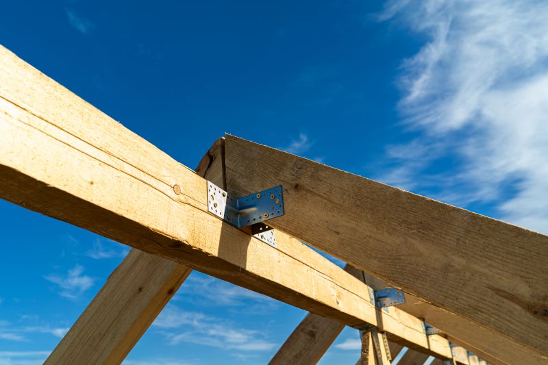 Roof Framing Repair